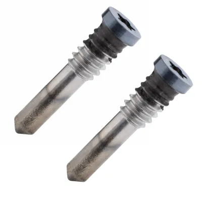 Lower Screw Set iPhone 17 Air Sky blue 2 pcs OEM Pegatron