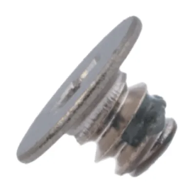 Main Screw (M1.0 × 0.96 L × 2.0 D × 0.15 T) For iPhone Air (Genuine OEM) (Pack of 30)