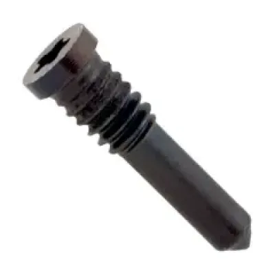 Dock Connector Screw (USB-C Port Mount) For iPhone Air (Genuine OEM) (Space Black) (100 Pack)