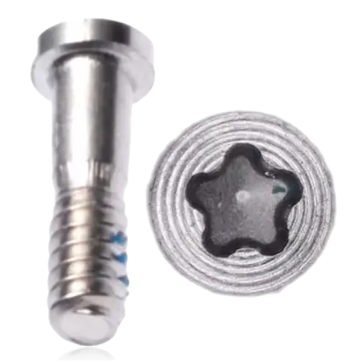 Bottom Screws For iPhone 5 (Silver) (100 Pack)