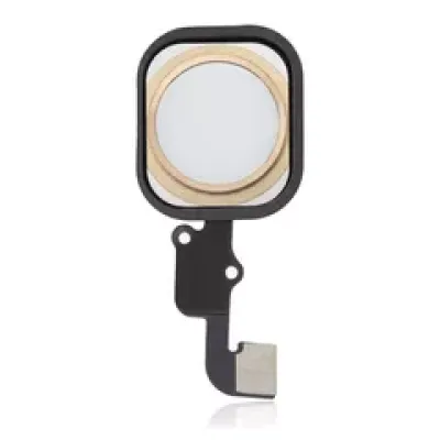 Кнопка Home зі шлейфом для iPhone 6S / 6S Plus (золотий)
