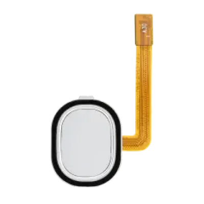 Датчик відбитків пальців зі шлейфом для Samsung Galaxy A30 (A305 / 2019) / A40 (A405 / 2019) (білий)