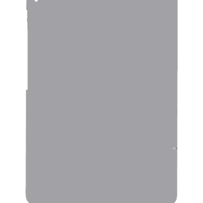 Back Skin for iPad Air 2 (Cellular) (Silver)
