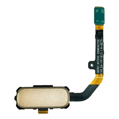 Шлейф кнопки Home для Samsung Galaxy S7 Active (Sandy Gold)