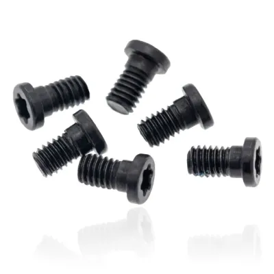 Hinge Screws (Torx T8) For MacBook Pro 13" A1502 (2013-2015)