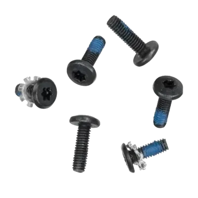 Hinge Screws (Torx T8) For MacBook 13" A1342 (2009-2010)