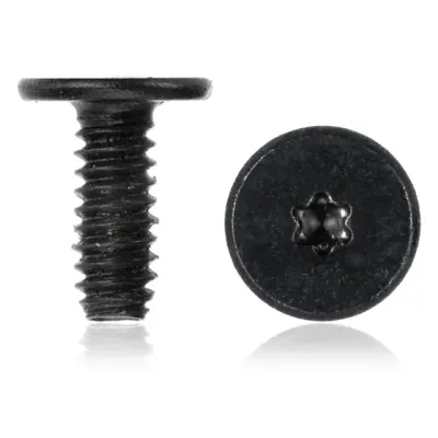 Audio Flex Cable Bracket Screws (Short) (Torx T4) (1 Piece Set) For MacBook Pro 13" A2289 (2020) / A2338 (2020) / (100 Pack)