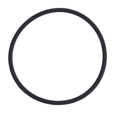 Back Camera Lens O-Ring Gasket For iPhone 7 Plus (100 Pack)