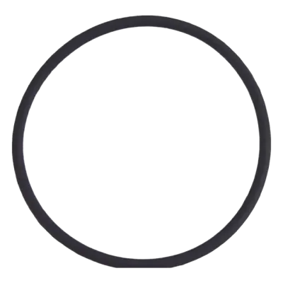 Back Camera Lens O-Ring Gasket For iPhone 8 Plus (100 Pack)
