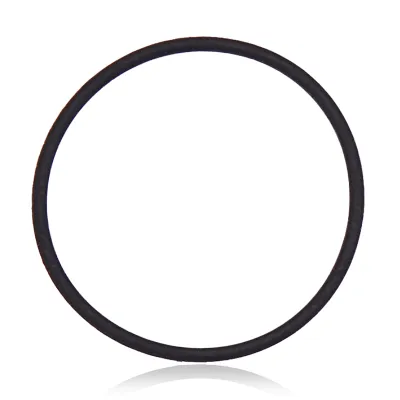 Back Camera Lens O-Ring Gasket For iPhone 12 Pro Max / 13 / 13 Mini / 13 Pro / 13 Pro Max / 14 / 14 Plus / 14 Pro / 14 Pro Max (100 Pack) (Real Sapphire)