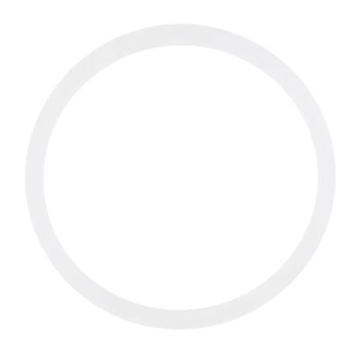 Back Camera Lens O-Ring Gasket For iPhone 8 / SE (2020) / SE (2022) (100 Pack)