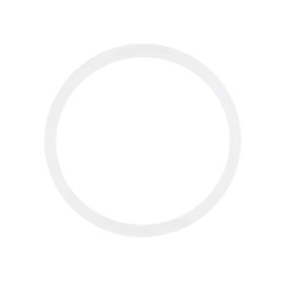 Прокладка O-Ring для скла камери iPhone 8 / SE (2020) / SE (2022) (100 шт)