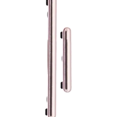 Кнопки (живлення / гучності) для Samsung Galaxy S21 Ultra (Phantom Titanium)