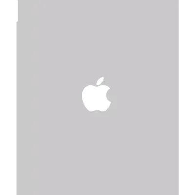 Back Skin for iPad 7 (2019) / iPad 8 (2020) / iPad 9 (2021) (Wi-Fi) (Silver)