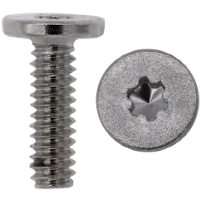 Гвинт (3IP M1.4 × 4.40L LCS Ni Flat Head Silver Nylon Patch P25 Base 3) Google Pixel 10 (Genuine OEM)