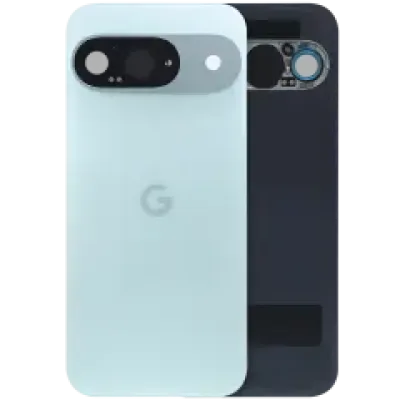 Задня кришка зі склом камери для Google Pixel 9 (Used OEM Pull: Grade A) (Wintergreen)