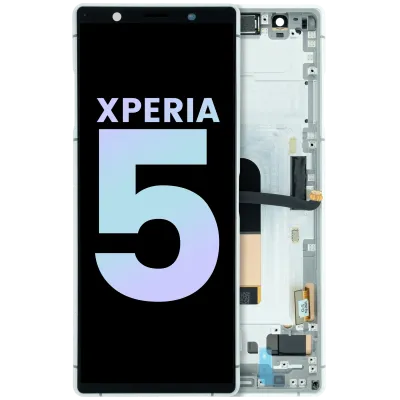 OLED Assembly With Frame for Sony Xperia 5 (Genuine) (Gray)