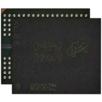 Мікросхема пам'яті GDDR6 для PlayStation 5 (D9XKV) (HPC47) (Micron)