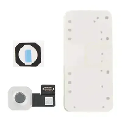 Основна камера для iPad 11 (2025) (WiFi / Cellular) (Genuine OEM)