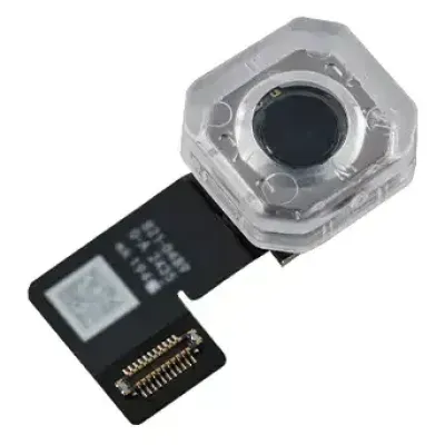 Основна камера для iPad Mini 7 (2024) (WiFi / Cellular) (Genuine OEM)