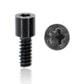 Bottom Screws For iPhone 5C (Black) (100 Pack)