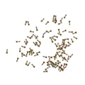 Bottom Screws For iPhone 7 / 7 Plus (Gold) (100 Pack)