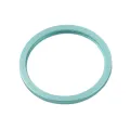 Back Camera Bezel Ring Only For iPhone 11 (Green) (2 Piece Set) (10 Pack)