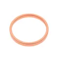 Back Camera Bezel Ring Only For iPhone XR (Coral) (10 Pack)