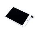 Дисплейний модуль з тачскріном для iPad Mini 5 (Aftermarket Pro: XO7) (білий)