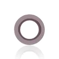 Back Camera Lens For iPad 5 (2017) / iPad 6 (2018) / iPad 7 (2019) / iPad 8 (2020) / iPad 9 (2021) / Air 2 / Mini 4 / Mini 5 / iPad Pro 12.9" 1st Gen (2015) (10 Pack)