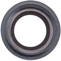 Back Camera Lens For iPad Pro 12.9" 2nd Gen (2017) (Space Gray)