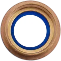 Back Camera Lens For iPad Pro 12.9" 2nd Gen (2017) (Gold)