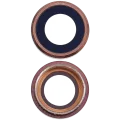Back Camera Lens For iPad Pro 12.9" 2nd Gen (2017) (Rose Gold)
