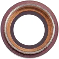 Back Camera Lens For iPad Pro 12.9" 2nd Gen (2017) (Rose Gold)