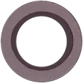 Back Camera Lens For iPad 5 (2017) / iPad 6 (2018) / iPad 7 (2019) / iPad 8 (2020) / iPad 9 (2021) / Air 2 / Mini 4 / Mini 5 / iPad Pro 12.9" 1st Gen (2015)