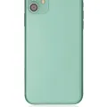 Back Housing W/ Small Components Pre-Installed For iPhone 11 (Used OEM Pull: Grade A) (Green)