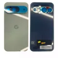 Back Cover For Google Pixel 9 (Genuine OEM) (Wintergreen)