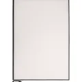 Backlight Only For iPad Pro 11" 1st Gen (2018) / Pro 11" 2nd Gen (2020) / Pro 11" 3rd Gen (2021)