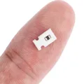 Capacitor For iPhone 6S / 6S Plus (L5201_RF: 2.2UH: 2 Pins)