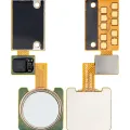 Fingerprint Sensor Cable With Flex For LG V10 (H900) (White)