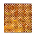 Intermediate Frequency IC Chip For iPhone 8 / 8 Plus / X (PMB 5757 XCVR0_K XCVR1_K Intel Version)