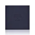 Big Audio IC For iPhone 11 / 11 Pro / 11 Pro Max / 12 / 12 Mini / 12 Pro / 12 Pro Max (338S00509)
