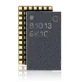 Power Amplifier IC For iPhone 11 / 11 Pro Max (81013 PA PMU)
