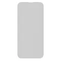 Casper Pro Tempered Glass for iPhone 14 Pro (Retail Packaging) (Matte)