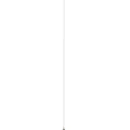 Antenna Cable (White) (Long) For Motorola Moto Edge 40 Neo (XT2307 / 2023) (Genuine OEM)