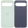 Back Cover Glass For Google Pixel 9 (Used OEM Pull: Grade A) (Wintergreen)
