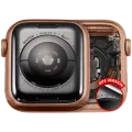 Housing Assembly Compatible For Watch Series 5 (40MM) (Used OEM Pull: Grade A) (GPS Version) (Aluminum / Gold)
