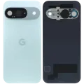 Back Cover Glass With Camera Lens For Google Pixel 9 (Used OEM Pull: Grade A) (Wintergreen)