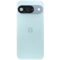 Back Cover Glass With Camera Lens For Google Pixel 9 (Used OEM Pull: Grade A) (Wintergreen)