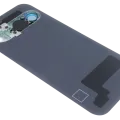 Back Cover Glass With Camera Lens For Google Pixel 9 (Used OEM Pull: Grade A) (Wintergreen)